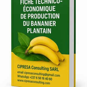 Fiche technique banane plantain