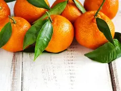 Mandarine (Holandaise)