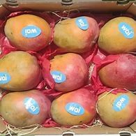 Mangue (Kent)