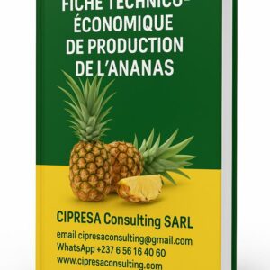 Fiche technique ananas