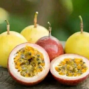 Graine du fruit de passion (violet et jaune)
