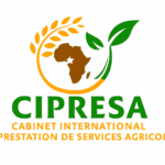 CIPRESA