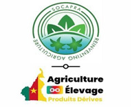 SOCAPRA