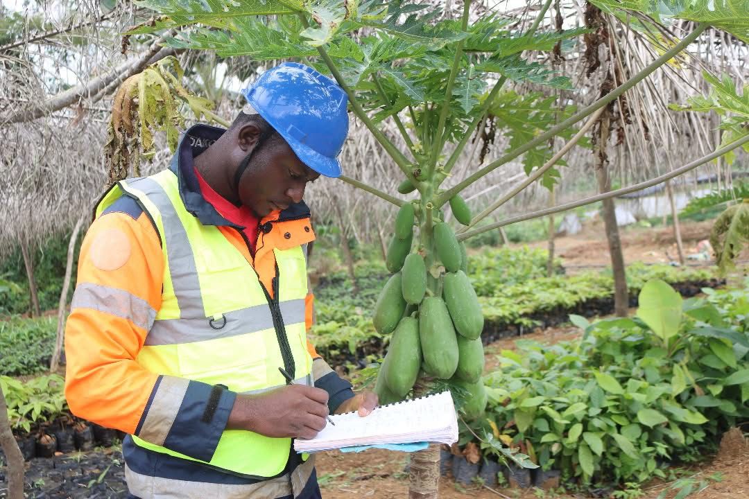 Un ingénieur agronome en plein étude sur le terrain