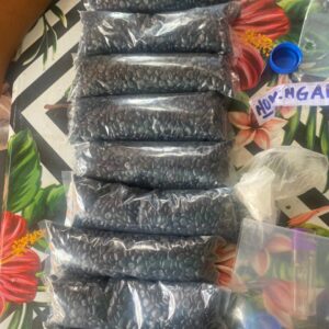 Sachet de Campeché 1000 graines